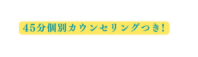 45分個別カウンセリングつき